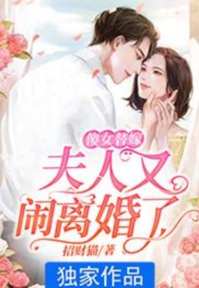 傻女替嫁：夫人又闹离婚了