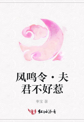 凤鸣令·夫君不好惹